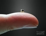 microchip-on-finger-ktsdesignscience-photo-library