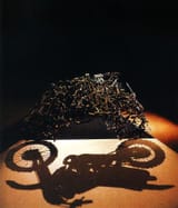 shadow_sculpture_motor_bike_optical_illusion1