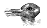 duck rabbit illusion