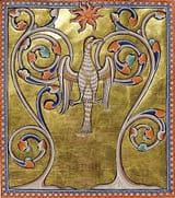 512px-Phoenix_rising_from_its_ashes