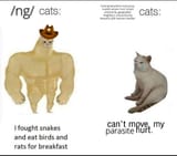 122508