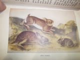 IMG_20230419_143433