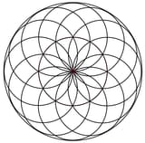 lotus-of-life