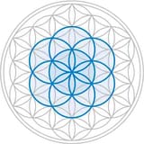 seed-inside-flower-of-life