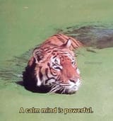 GvibxnaW4AAOBA8