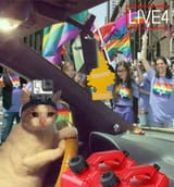 mittens visits a pride parade