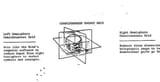 consciousness-grid