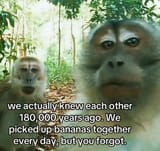 Banana 
