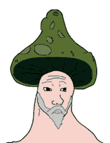 1729555124784799