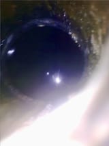 1741192053613998