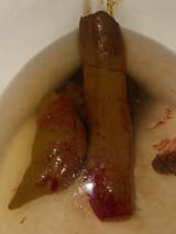 jannie dinner
