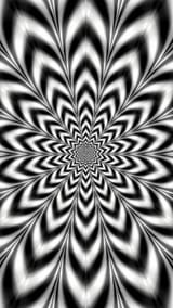 6C83A2F2-38E1-49AC-B55C-DDAAF51CBA63