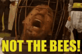 bees-not-the-bees