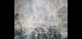 Screenshot_20250718-100703_Gallery
