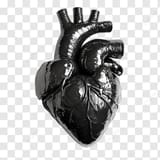 pngtree-solid-black-heart-shape-symbolizing-darkness-or-grief-png-image_16268322