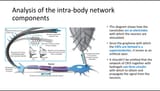 nanoTube