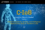 body-web