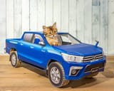 output (catbody Hilux)