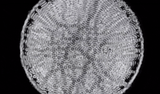harmonics