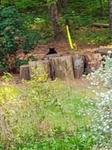 IMG_20250420_165824622_AE