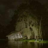 swamp
