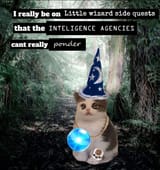 1711819995745493