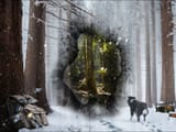 bigfoot_missing411-northwest