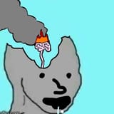 Thread 40754511 OP Image