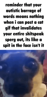 1740558249591588