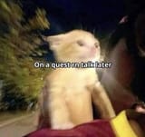 Quest