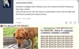 shitposting on 4chan filters the basic bitch