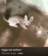 Screenshot_20250719_205915_YouTube