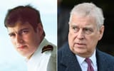 Prince Andrew, The Disgraced