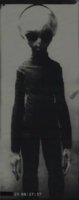 SkinnyBob