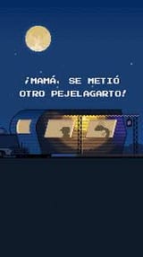 images