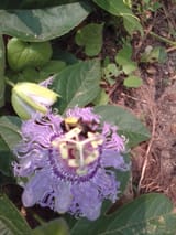 IMG_20230629_131647