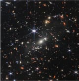 cosmos