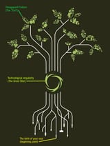 Path Selection Tree (Tree of Life)