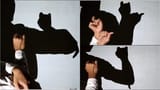 proxy-image