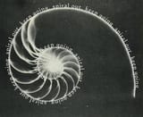 ab67706c0000da84bbd4634bf1c28ec9ea88a524