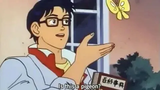 is this a pigeon