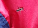 IMG_20250720_155200299