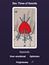 Screenshot_20250720_141959_Tarot Divination