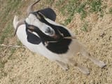 IMG_20250720_160444978