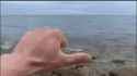 Me explaining my esoteric spiritual math theories to the patiently sighhhhing primal quantum foam entanglement ether_thumb.jpg