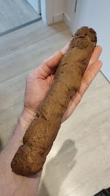 NIGGER (9)