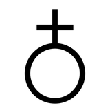 The Secret Symbol