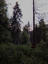 1741207109717435-1