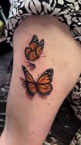 Monarch