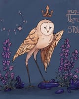 Stolas_soc6